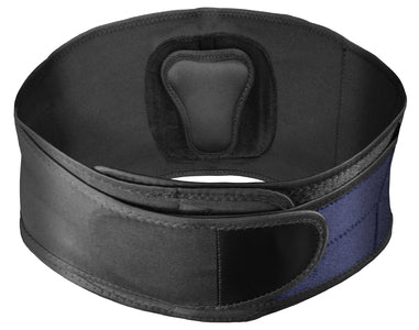 Back Support